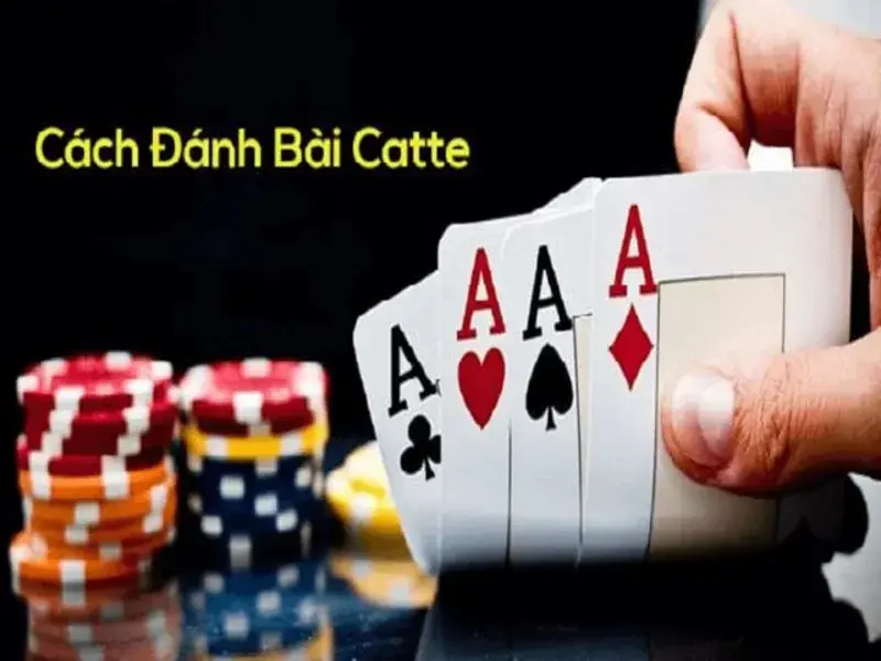 Bài Cát Tê - Đăng Ký Nhận Quà Tân Thủ Tại Sảnh Game Bài